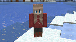 Example Christmas Skin 2
