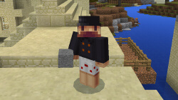 Example skin on Minecraft PE 2