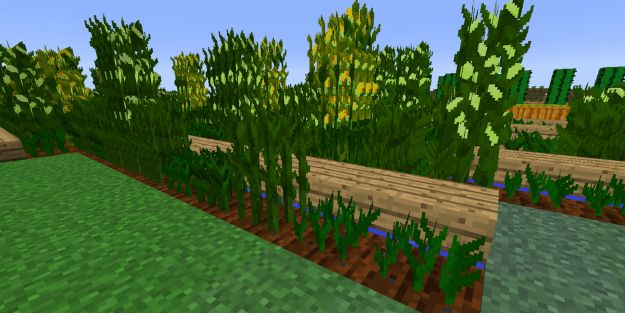 Simple Corn for Minecraft 1.12