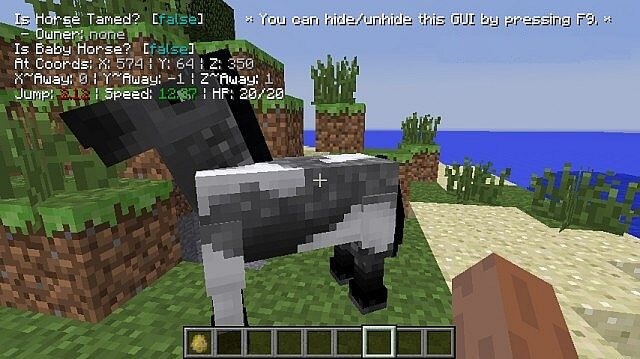 Horse Debug Info For Minecraft 1 13