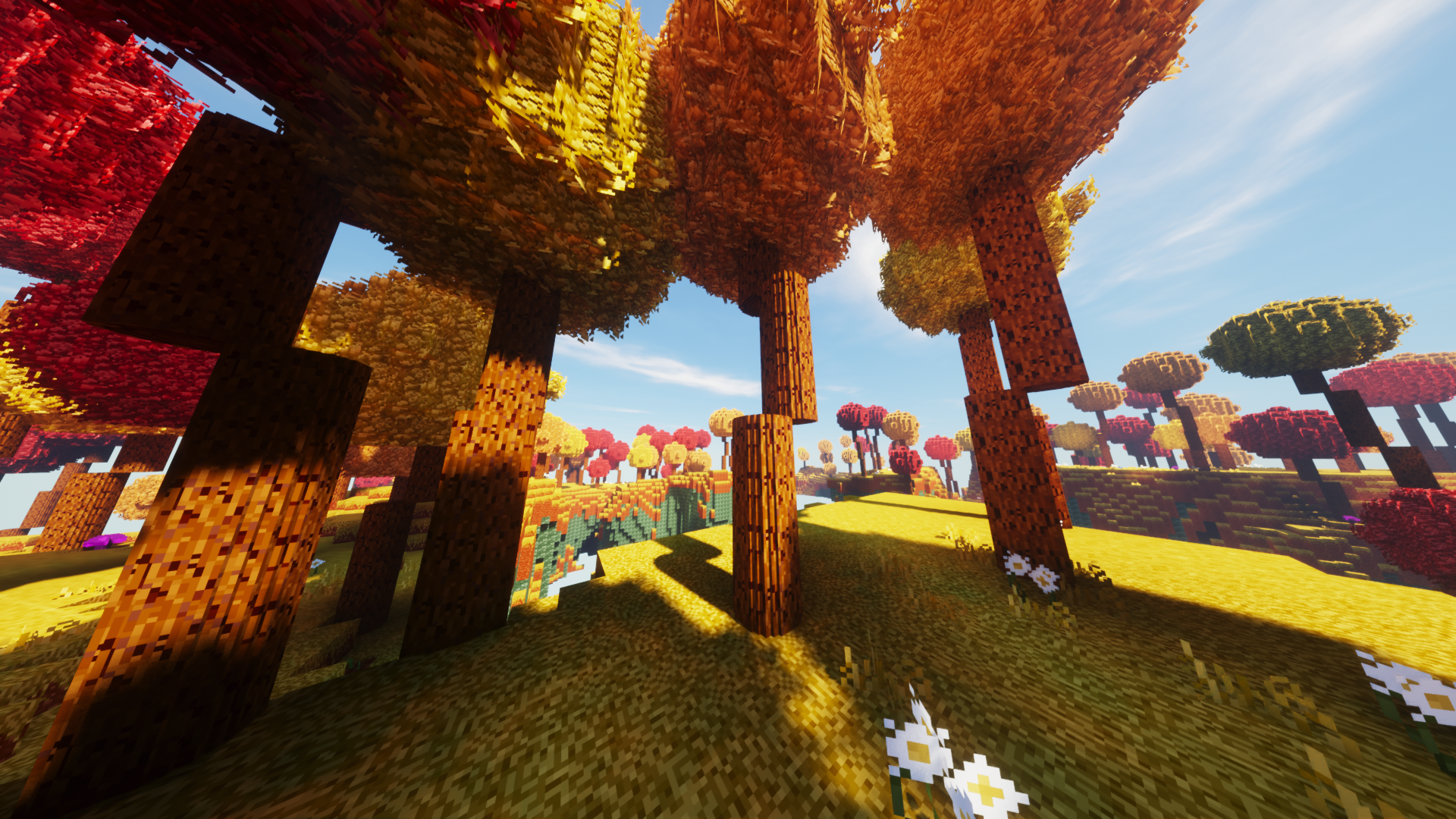 Round Trees screenshot 1