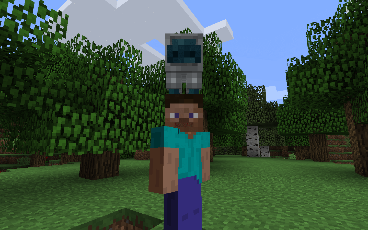 Minecraft hats. Мод hats майнкрафт. Шляпа "мода". Мод на шляпы в майнкрафт. Ведьма майнкрафт.