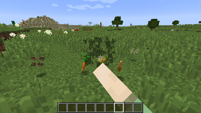 Seed Drop For Minecraft 1 12 2