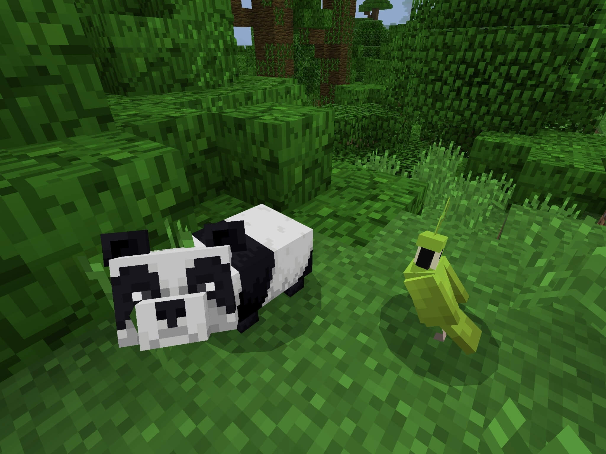 Panda Spotting Seed Minecraft Pe