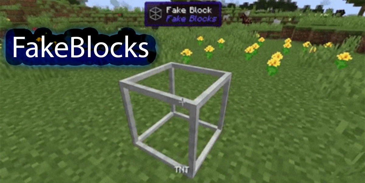 Fakeblocks For Minecraft 1 10 2