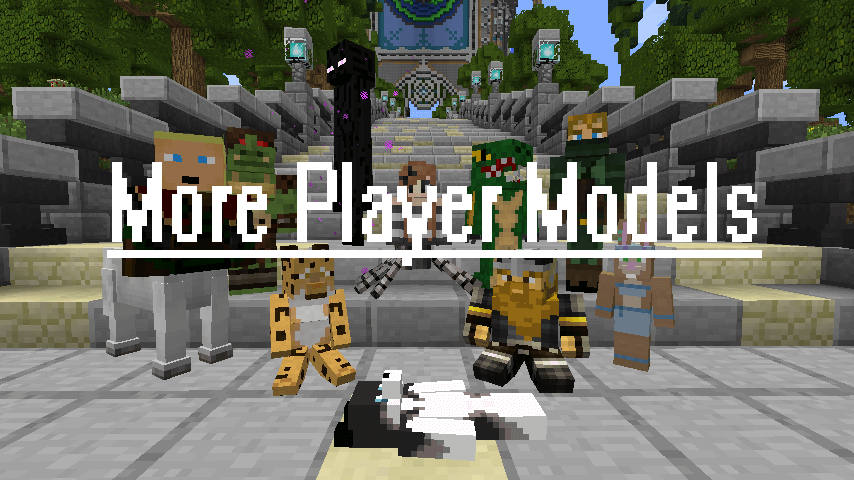More player 1.16 5