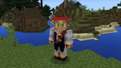Example skin on Minecraft PE 1