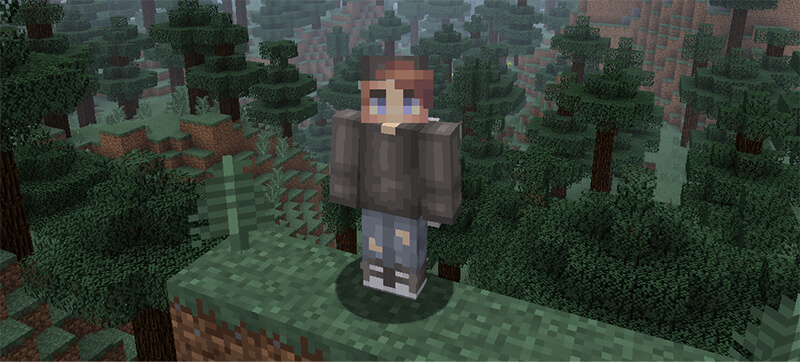 An example of a skin in Minecraft